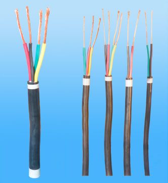 揚(yáng)州彈性絕緣及護(hù)套軟電纜